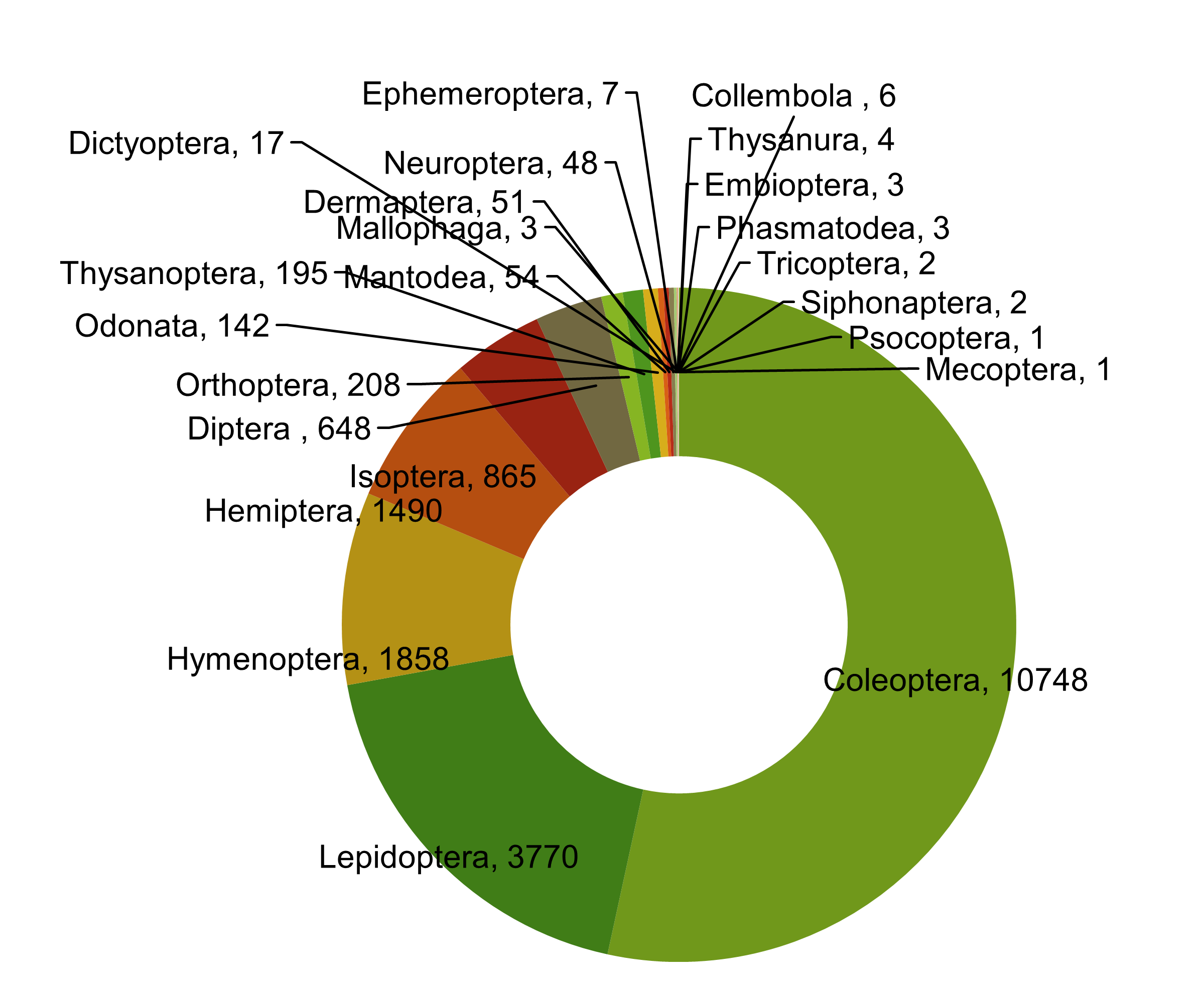 Composition of NFIC
