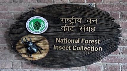 NFIC collection corridor